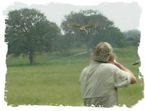 Bird Hunting